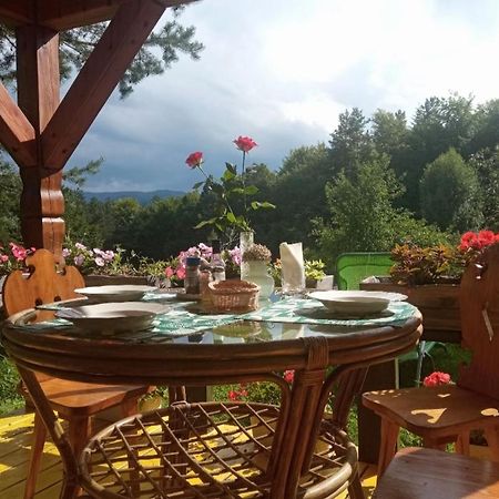 Agroturystyka Millerowka Kamionka Mala  Exteriér fotografie