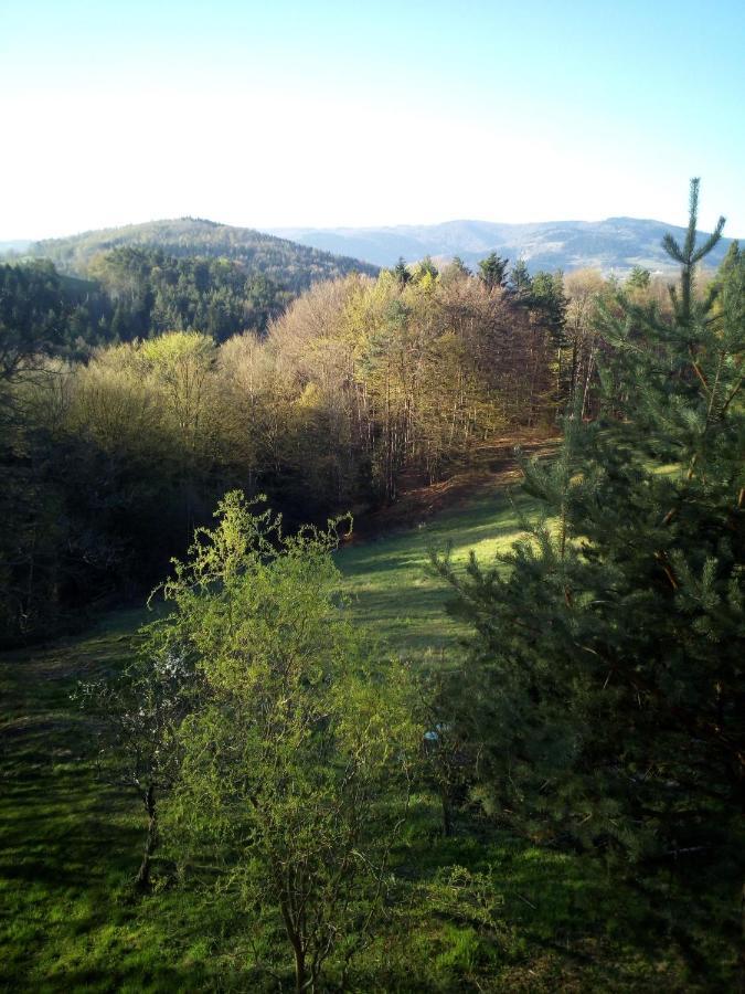 Agroturystyka Millerowka Kamionka Mala  Exteriér fotografie