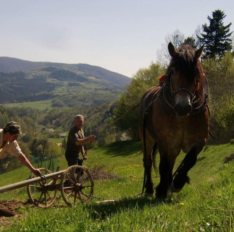 Agroturystyka Millerowka Kamionka Mala  Exteriér fotografie